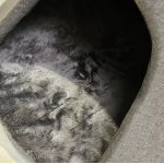 Kukaňa Golden Dog pre psa a mačku – L, hnedá